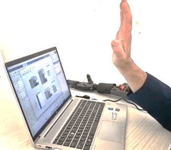 Real-Time Hand Gesture Control System Using Deep Learning and Robotics